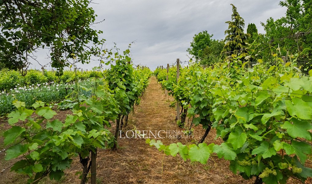 Prodej domu 104 m² s pozemkem 1 247 m², Nový Poddvorov – náhled fotky 2