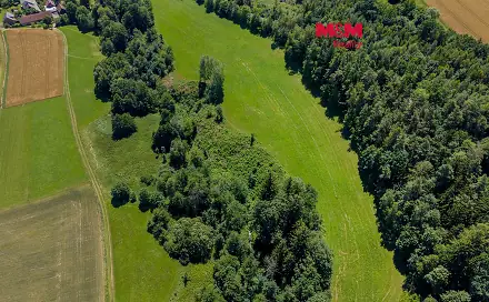 Prodej lesa 11 944 m², Bílá, okres Liberec