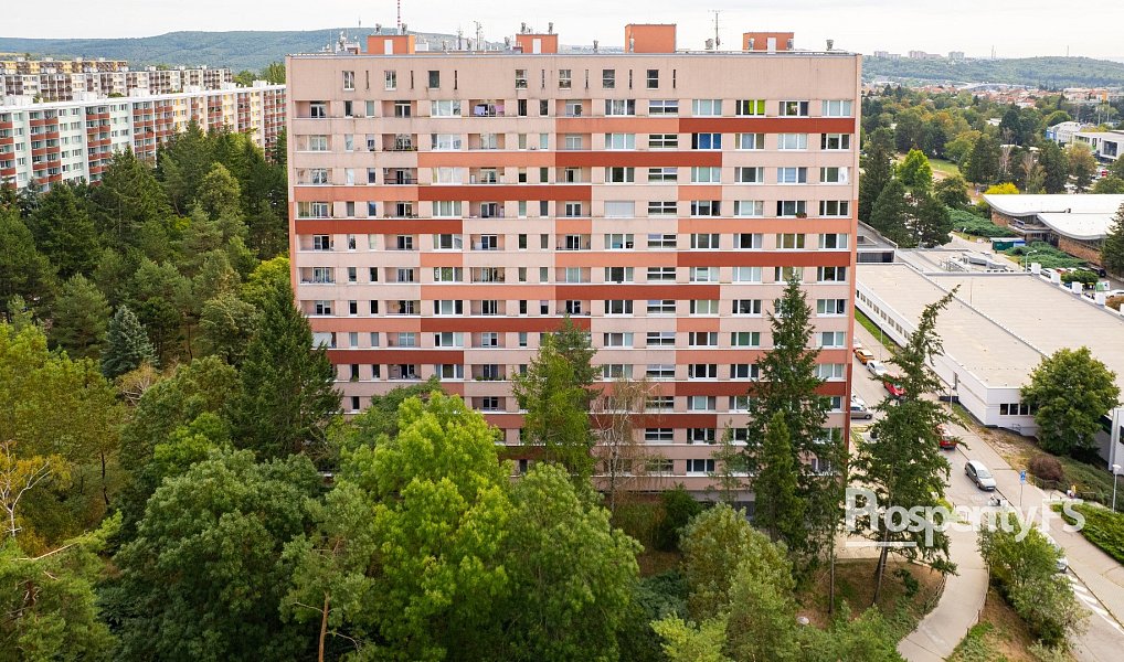 Prodej bytu 1+1 30 m², Brno – náhled fotky 16