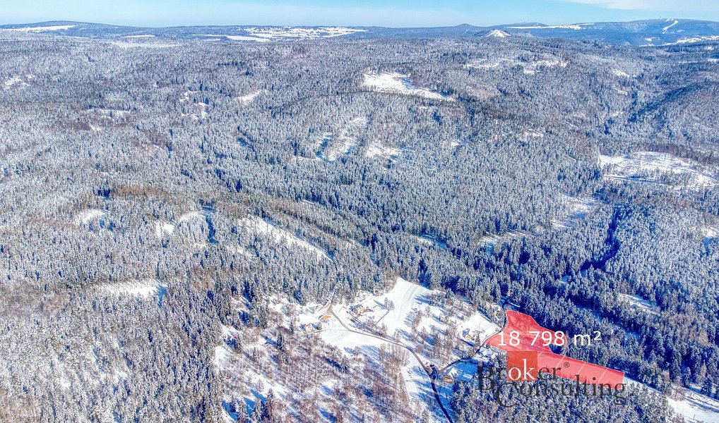 Prodej stavebního pozemku 2 023 m², Nejdek – náhled fotky 8
