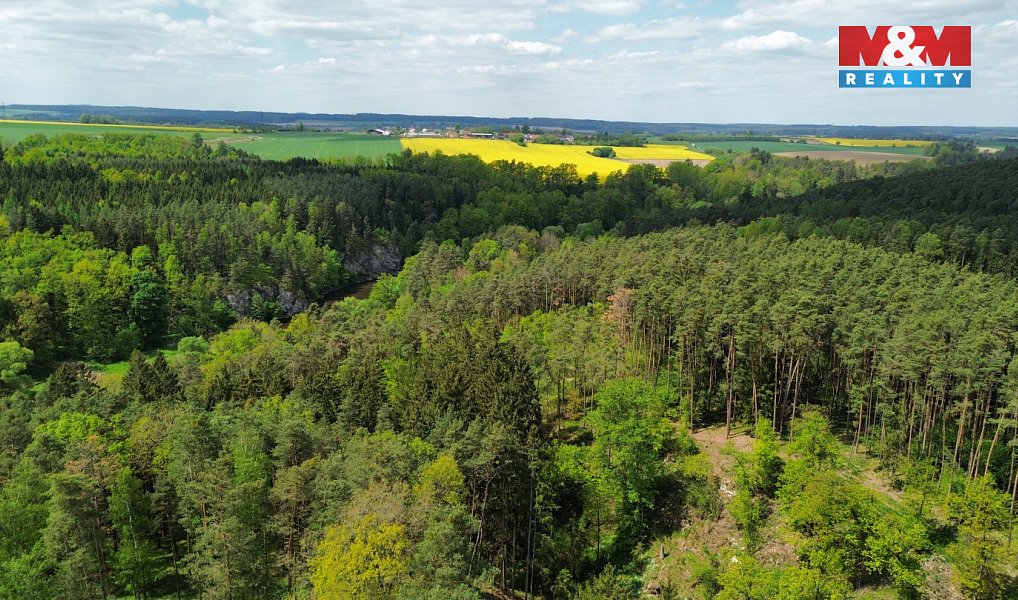 Prodej lesa 79 857 m², Černýšovice – náhled fotky 4