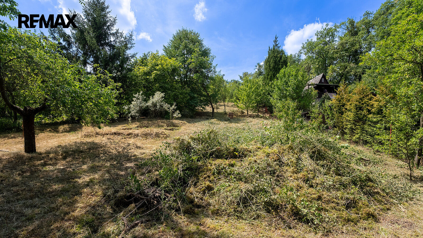 Prodej zahrady 698 m² – fotografie 4