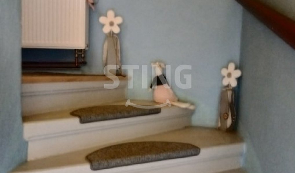 Prodej domu 175 m² s pozemkem 252 m², Rýmařov – náhled fotky 21