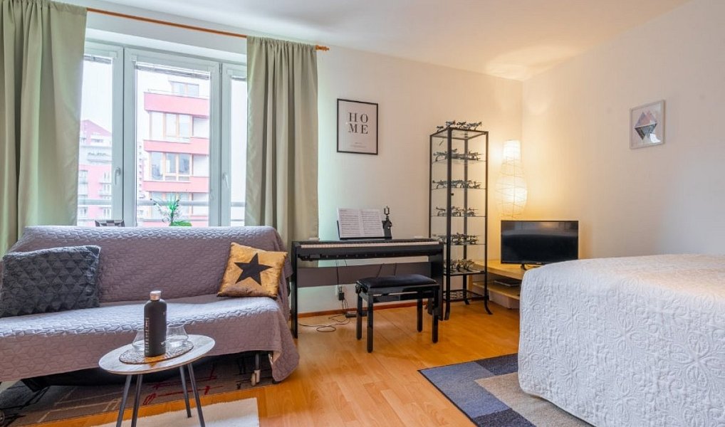 Pronájem bytu 1+kk 33 m², Praha – náhled fotky 2