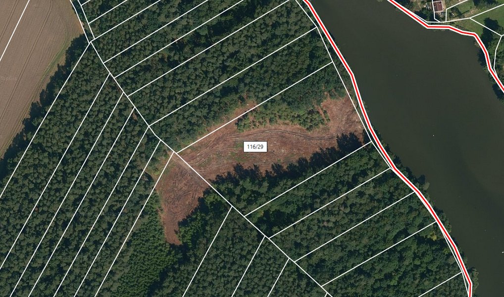 Prodej lesa 11 302 m², Borovany – náhled fotky 2