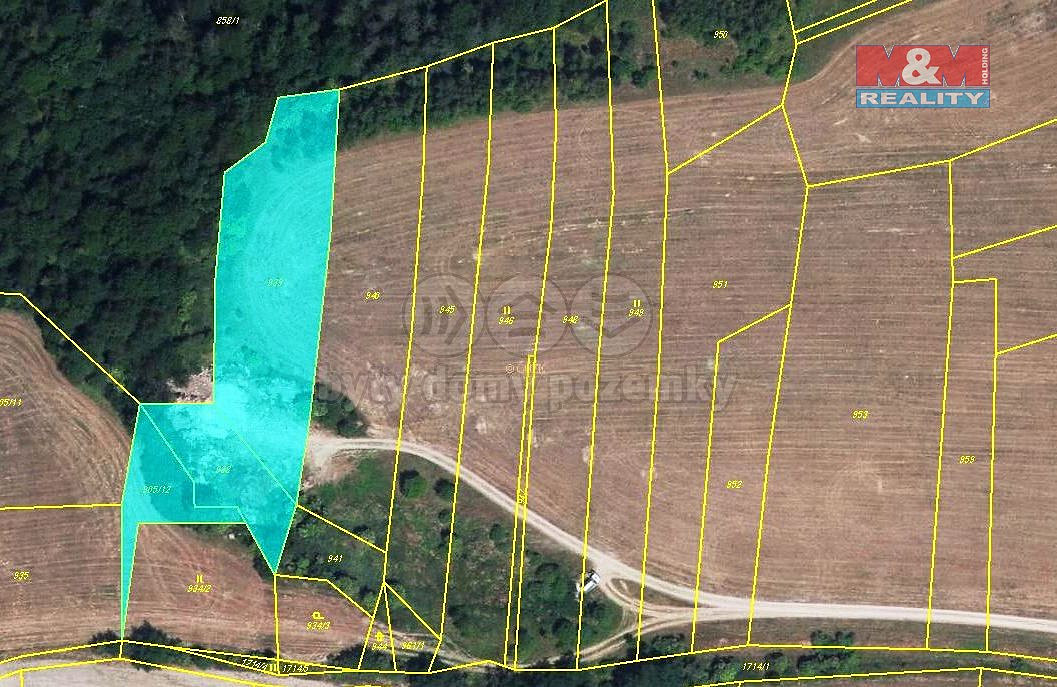 Prodej pole 3 750 m² – fotografie 4