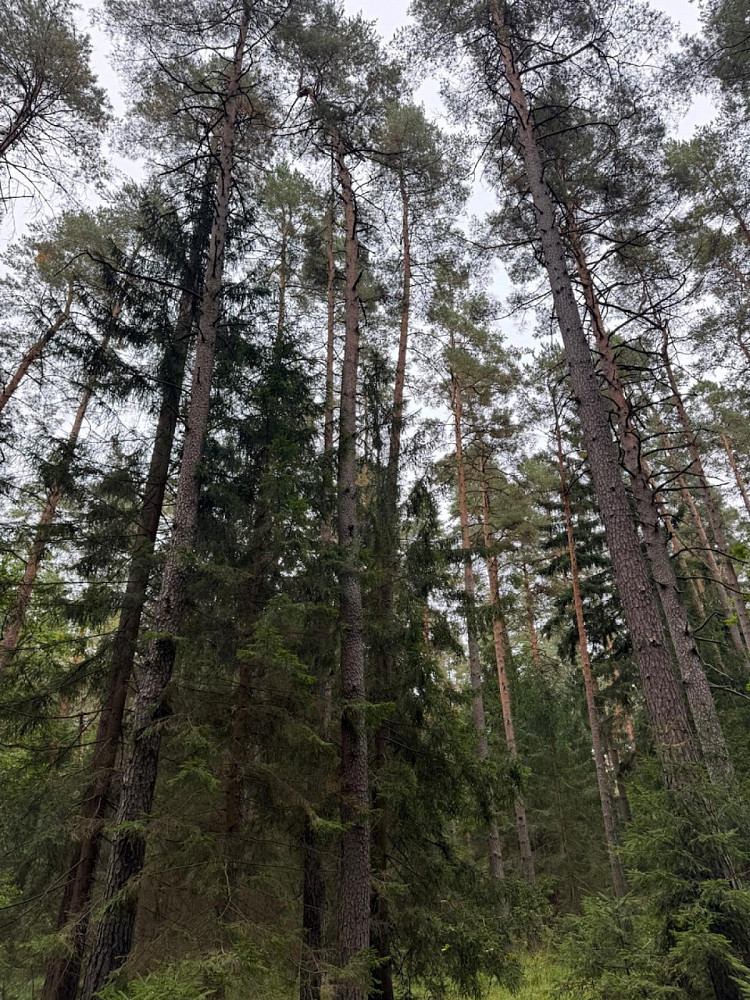 Fotka 6 z 16