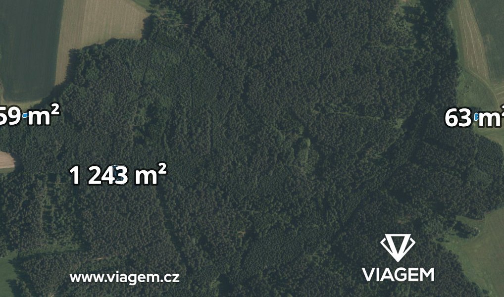 Prodej lesa 1 365 m², Římov – náhled fotky 2