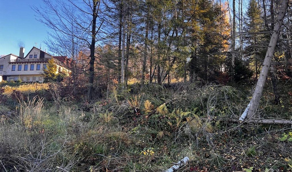 Prodej stavebního pozemku 3 129 m², Chvalčov – náhled fotky 18