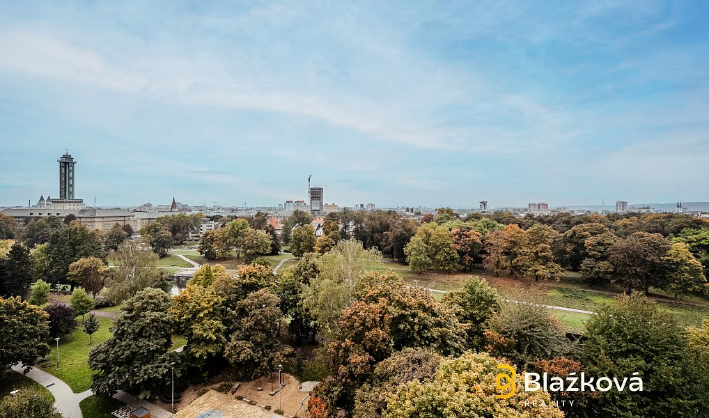 Pronájem bytu 1+1 30 m², Ostrava – náhled fotky 7