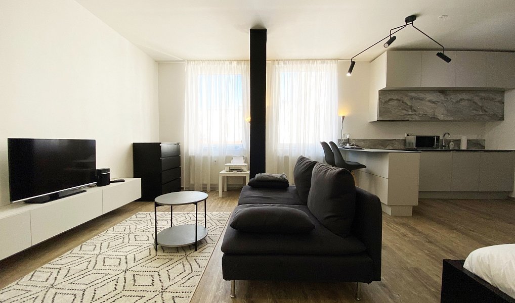 Pronájem bytu 1+kk, 37 m², Brno-město, Brno