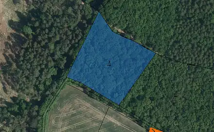 Prodej lesa 405 m², Kasalice, okres Pardubice