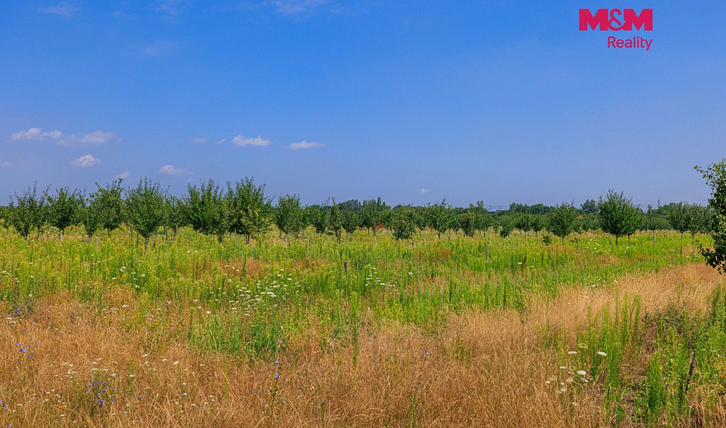 Prodej pole 21 280 m², Rakvice – náhled fotky 2