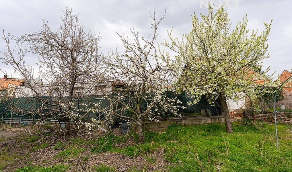 Prodej stavebního pozemku 423 m², Lanžhot – náhled fotky 10