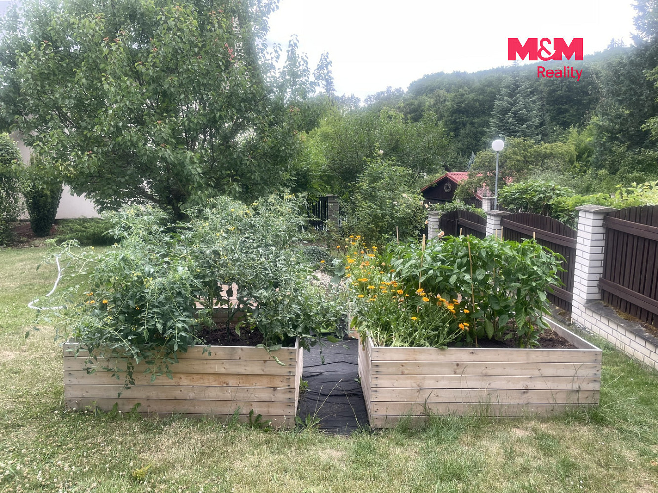 Pronájem domu 220 m² s pozemkem 1 085 m² – pohled 6
