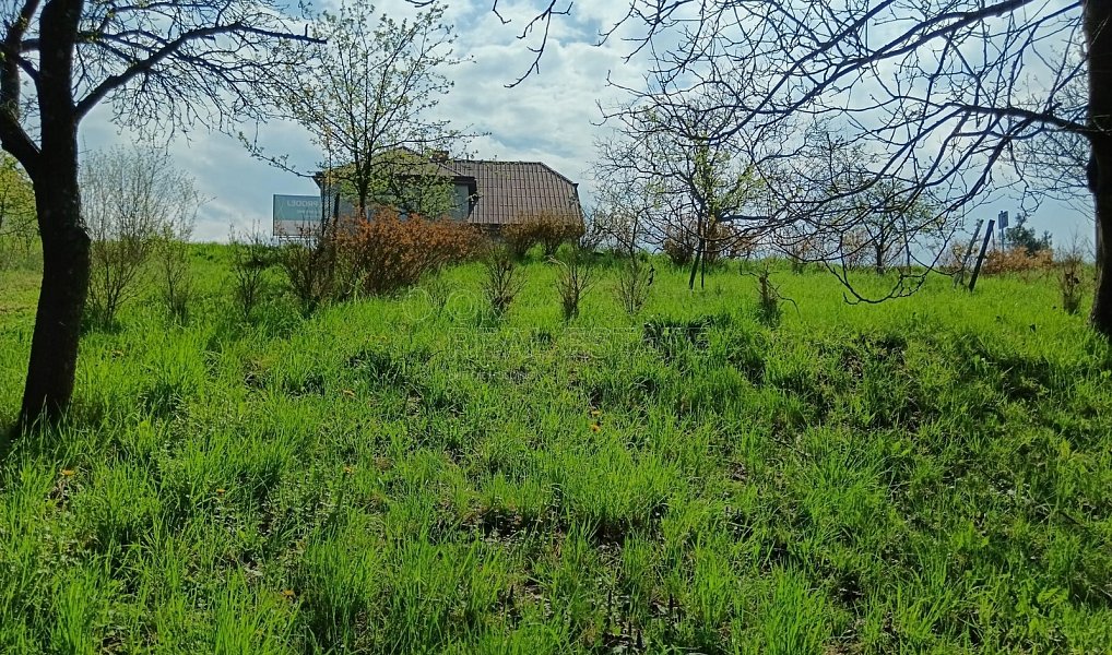 Prodej zahrady 1 872 m², Soběchleby – náhled fotky 10