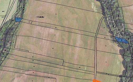 Prodej lesa 370 m², Plchov, okres Kladno