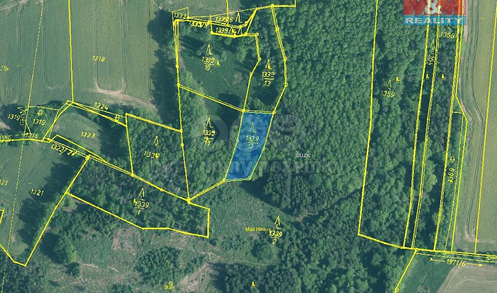 Prodej lesa 20 093 m², Skály – náhled fotky 4