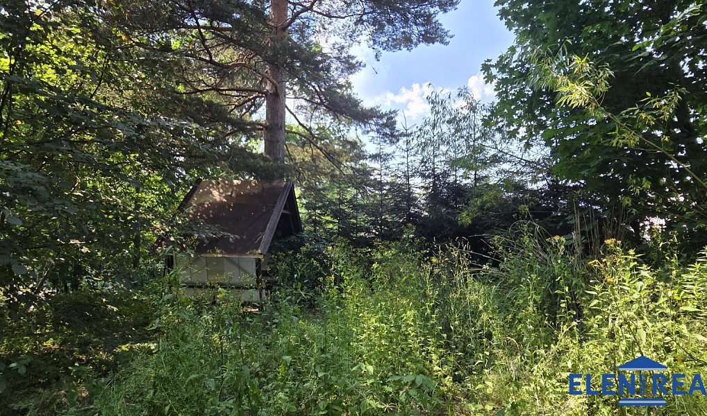 Prodej zahrady 950 m², Bělá pod Pradědem – náhled fotky 6