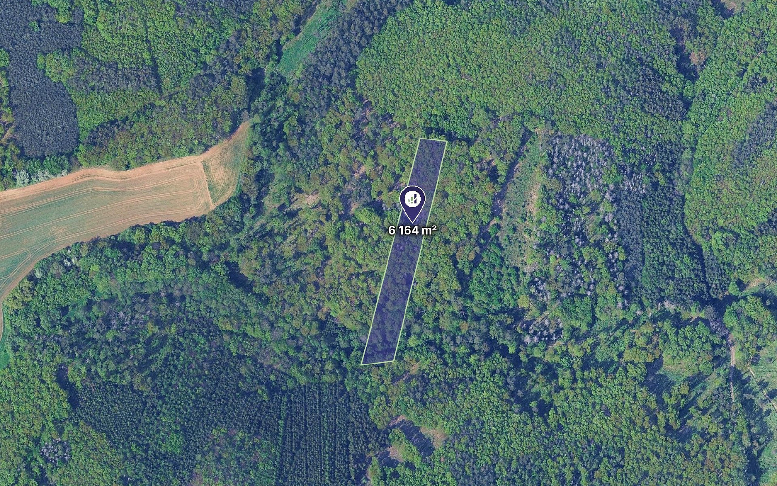 Prodej lesa 771 m²