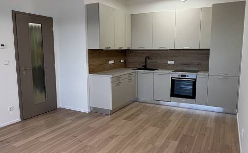 Pronájem bytu 2+kk 52 m², třída Generála Píky, Brno - Černá Pole