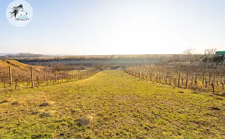 Prodej stavebního pozemku 1 217 m², Pasohlávky, okres Brno-venkov