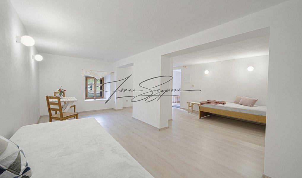 Prodej ubytovacího objektu 594 m², Olešná – náhled fotky 27