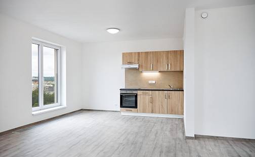 Pronájem bytu 1+kk 43 m², Rejskova, Plzeň - Východní Předměstí