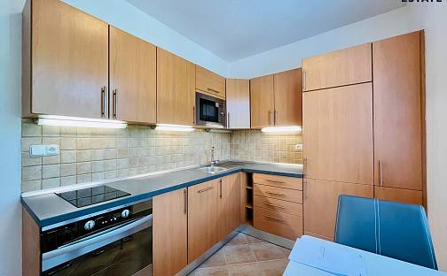 Pronájem bytu 2+1 53 m², náměstí SNP, Brno - Černá Pole