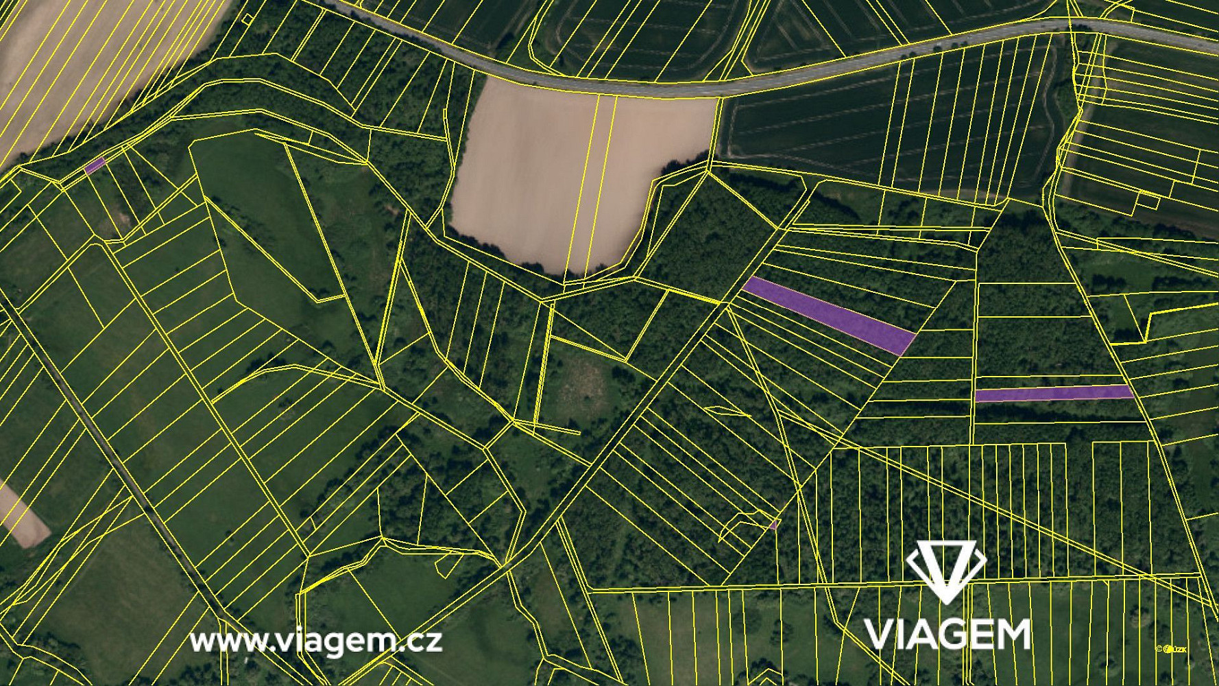 Prodej lesa 7 896 m² – fotografie 4