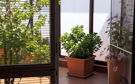 Prodej bytu 3+kk 106 m², Sochařská, Praha 7 - Bubeneč