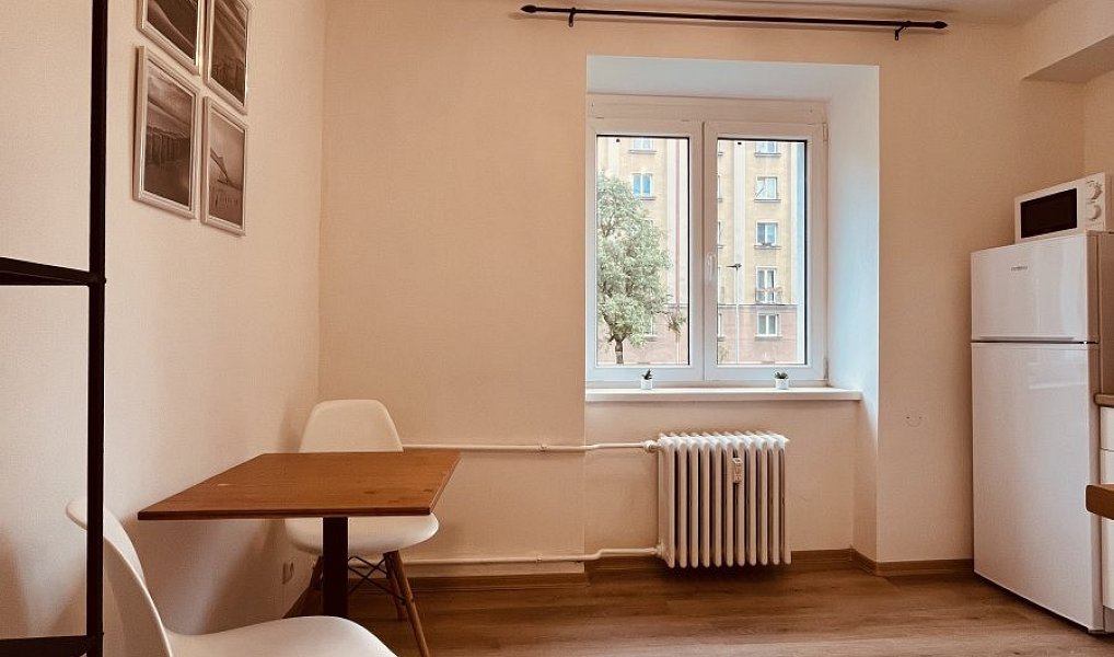 Pronájem bytu 1+1 28 m², Ostrava – náhled fotky 4