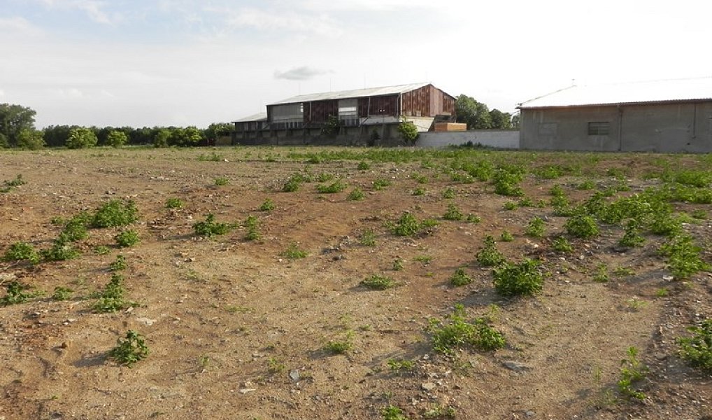Prodej komerčního pozemku 4 824 m², Bystročice – náhled fotky 2