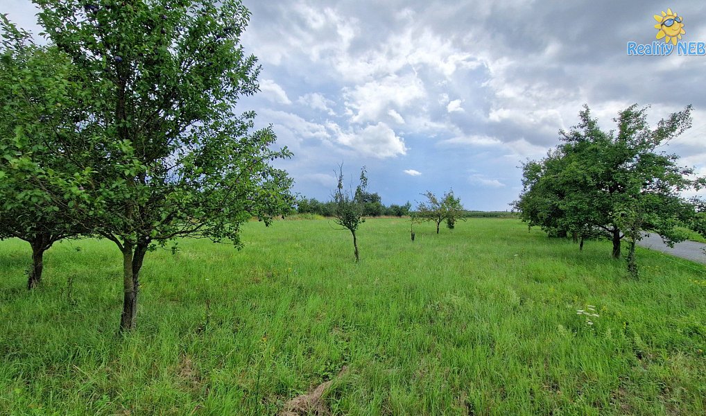 Prodej stavebního pozemku 3 572 m², Rešice – náhled fotky 4
