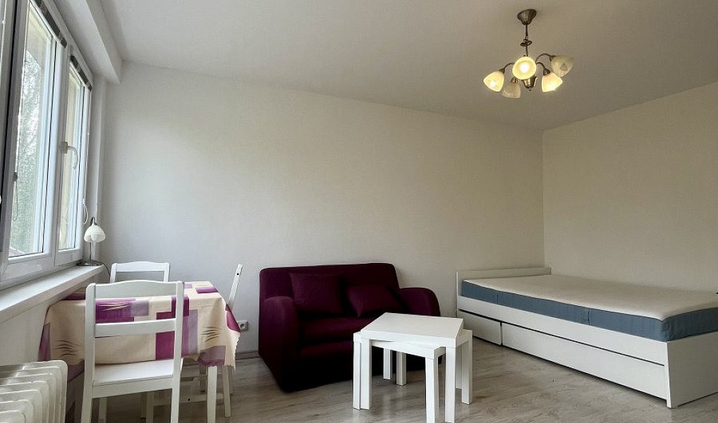 Pronájem bytu 1+1 30 m², Ostrava – náhled fotky 7