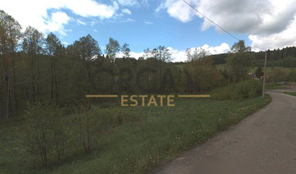 Prodej louky 3 107 m², Loužnice – náhled fotky 4