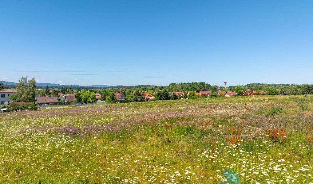 Prodej stavebního pozemku 1 002 m², Litvínovice – náhled fotky 12
