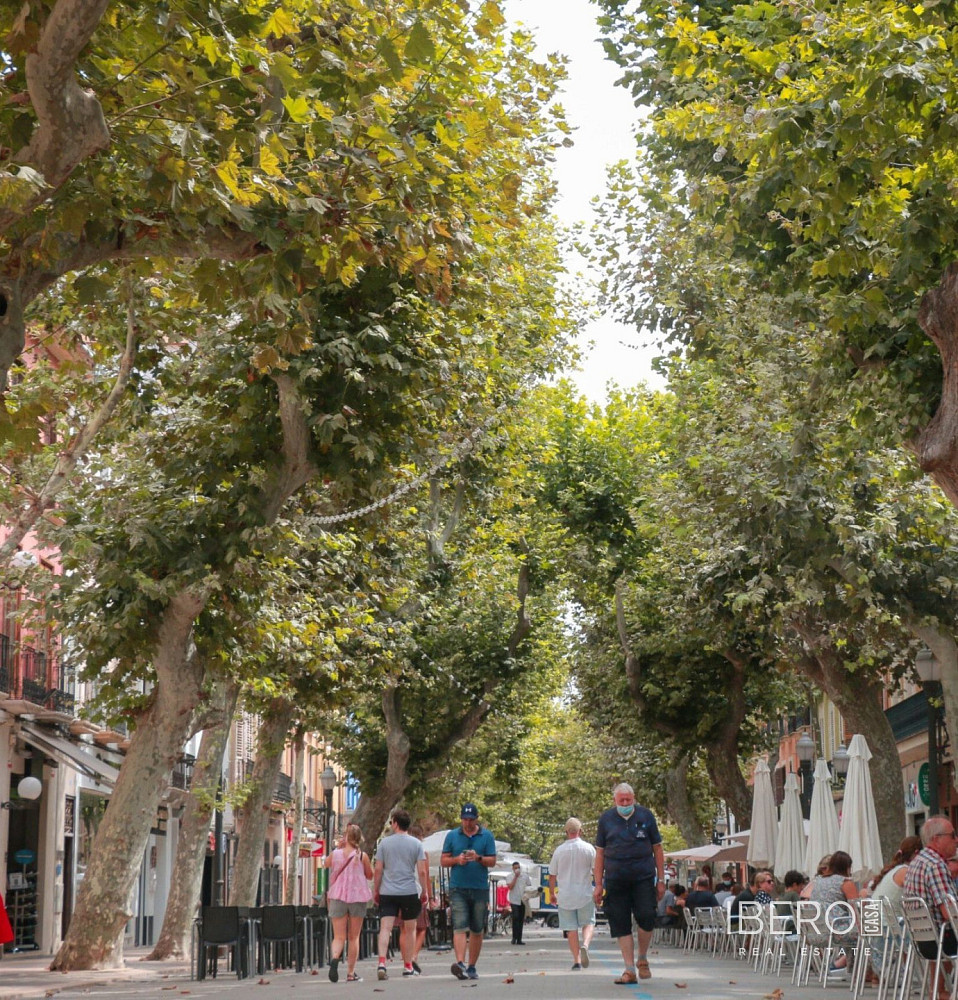 Fotka 9 z 10