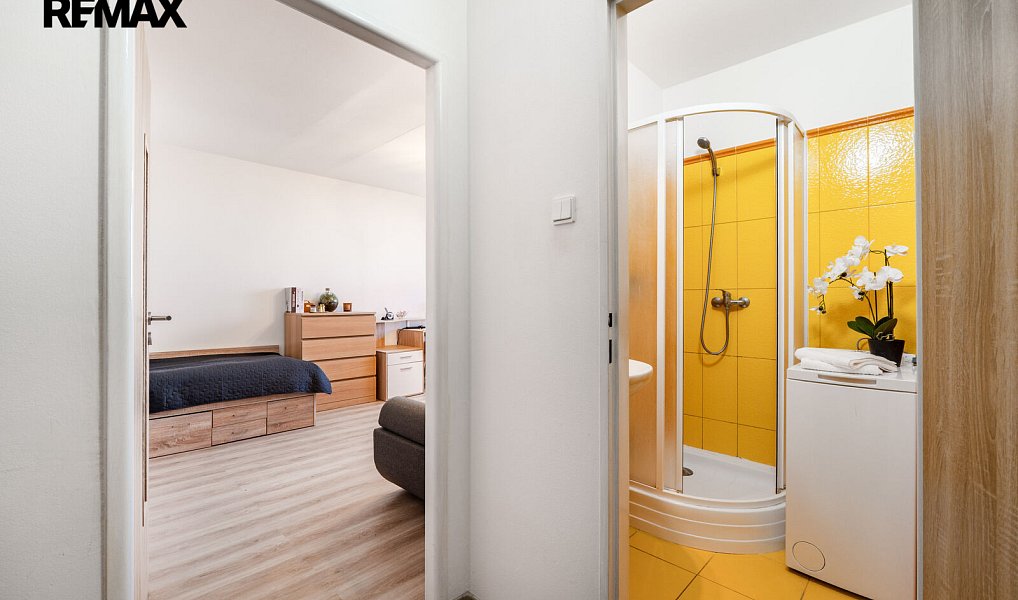Prodej bytu 1+1 38 m², Praha – náhled fotky 15