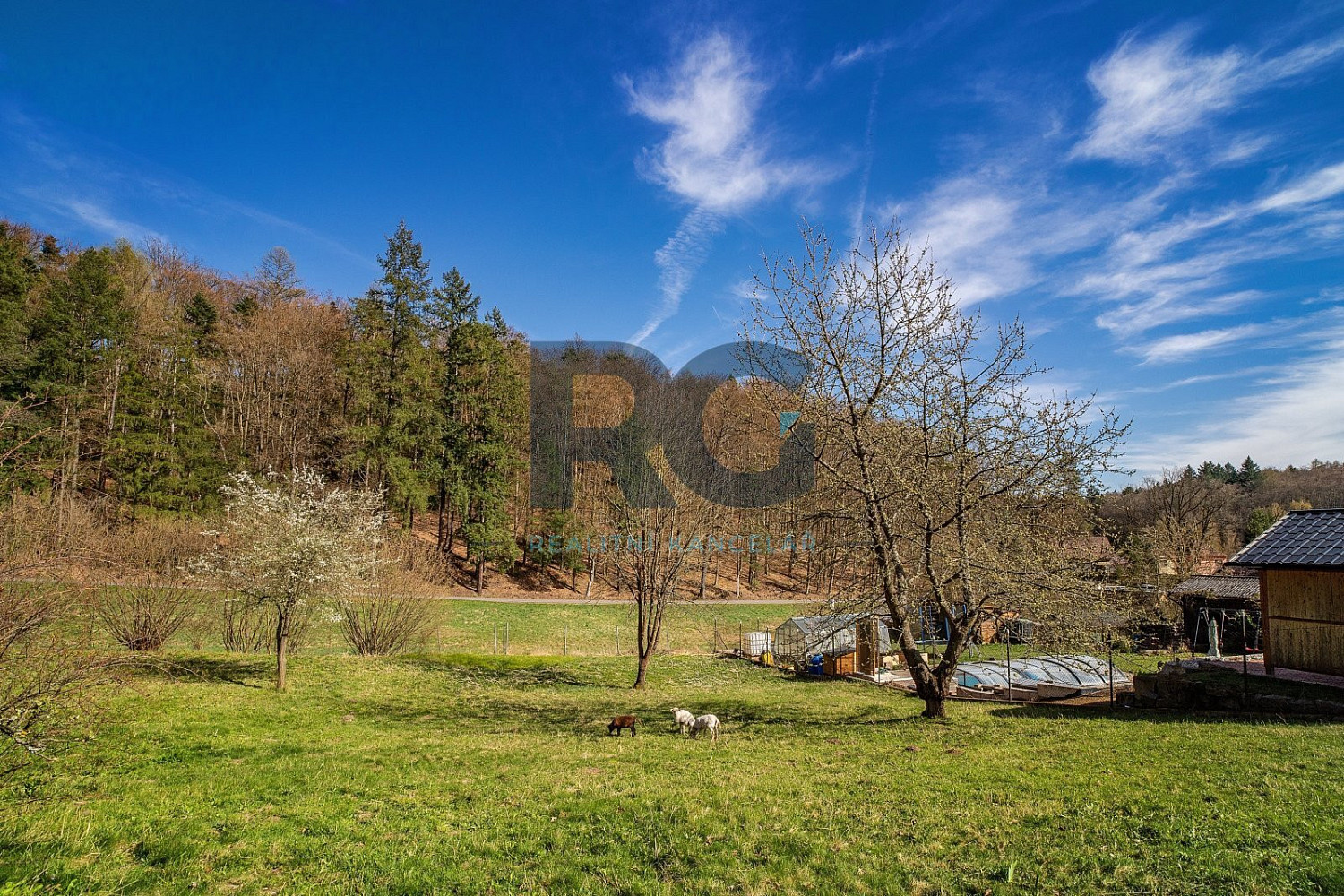 Prodej stavebního pozemku 2 000 m² – fotografie 2