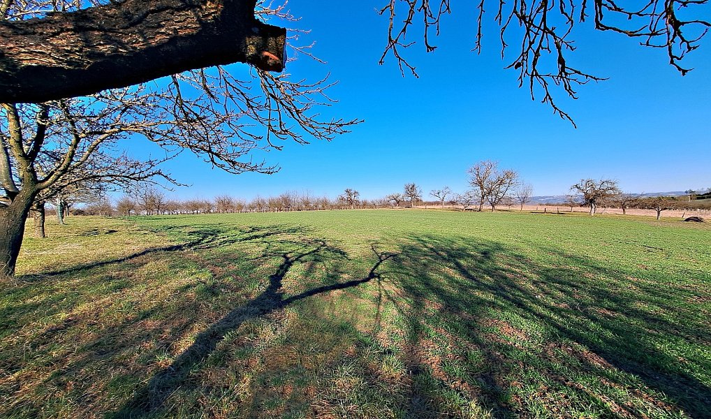 Prodej pole 4 979 m², Štěchov – náhled fotky 15