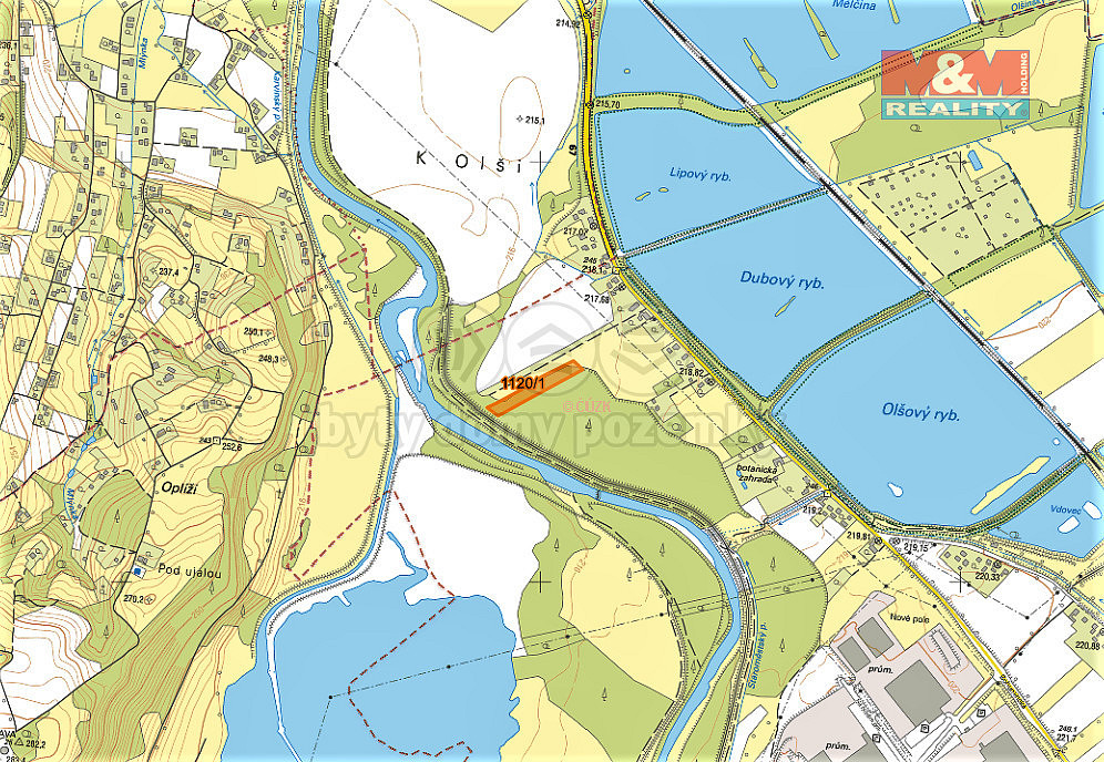 Prodej lesa 7 006 m² – fotografie 5
