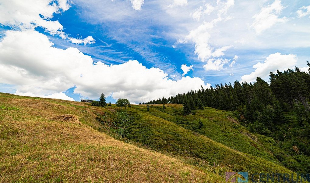 Prodej chaty/chalupy 1 087 m² s pozemkem 33 716 m², Strážné – náhled fotky 20