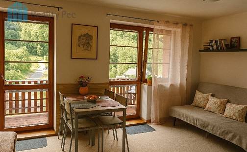 Prodej bytu 1+kk 49 m², Žacléř - Prkenný Důl, okres Trutnov