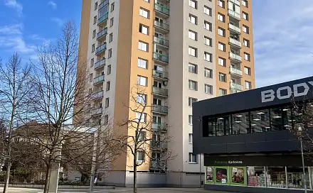 Prodej bytu 3+1 76 m², Karla IV., Pardubice - Zelené Předměstí