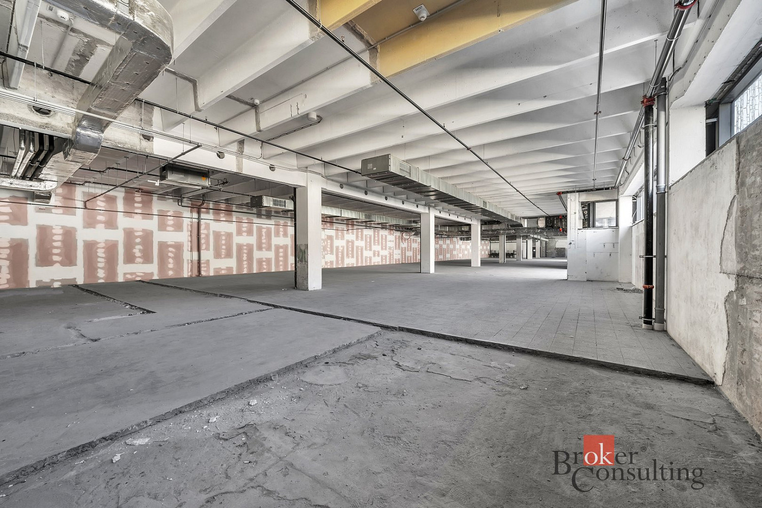Pronájem obchodních prostor 1 173 m² – fotografie 2