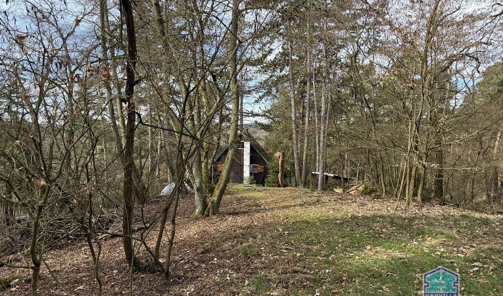 Prodej chaty/chalupy 40 m² s pozemkem 26 m², Čerňovice – náhled fotky 23