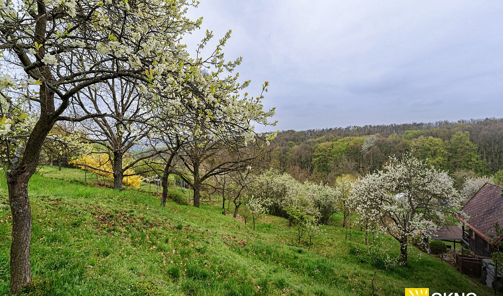 Prodej zahrady 1 459 m², Střelice – náhled fotky 2