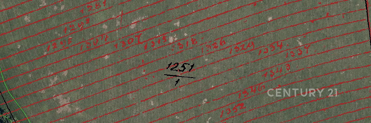 Fotka 10 z 15