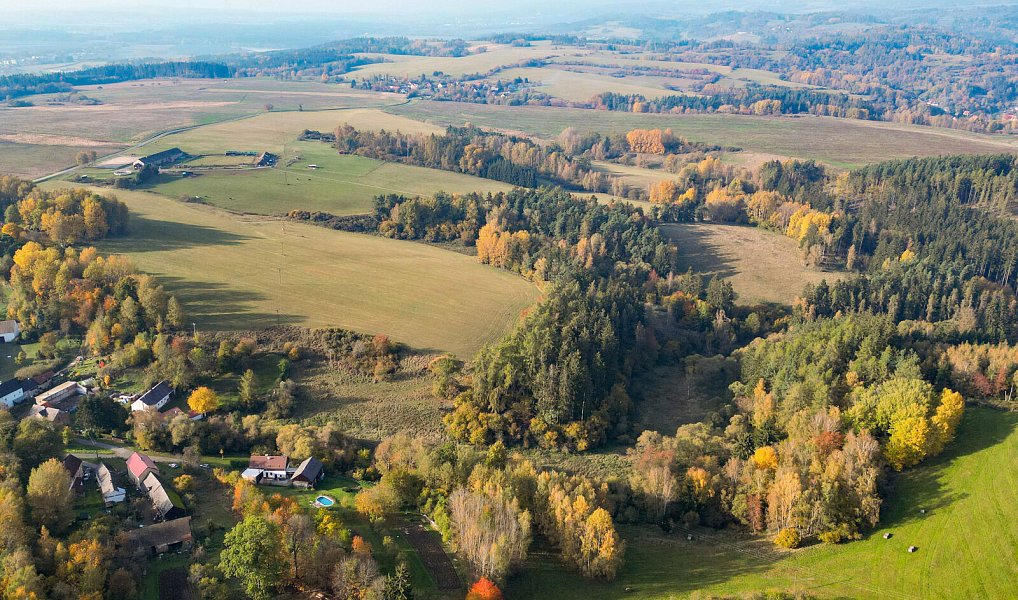 Prodej pozemku 15 970 m², Planá – náhled fotky 23